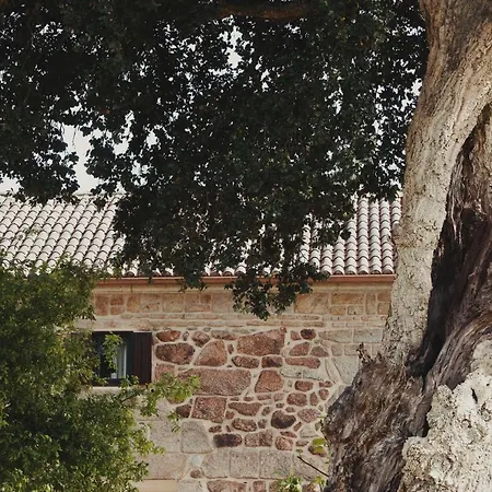 El Abuelo De Arcos - Only Adults * Meis