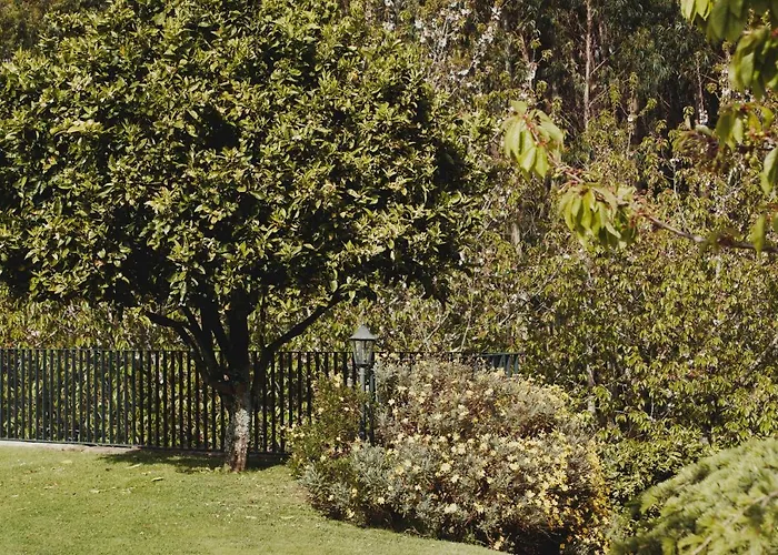 El Abuelo De Arcos - Only Adults منزل ريفي