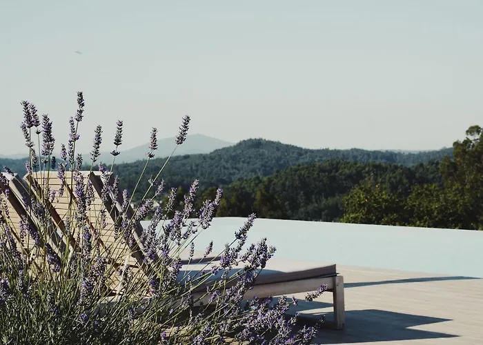 El Abuelo De Arcos - Only Adults Meis