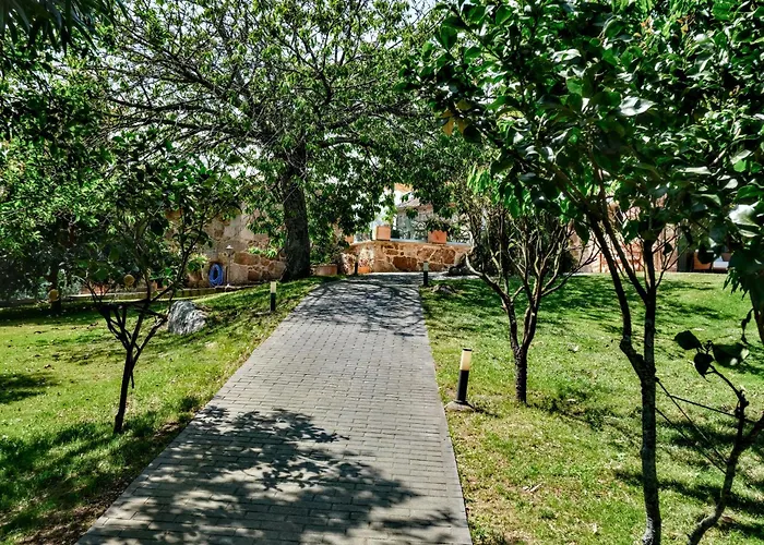 El Abuelo De Arcos - Only Adults *